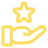 c1-icon-3